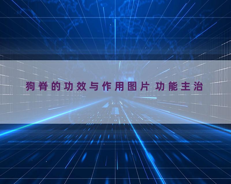 狗脊的功效与作用图片 功能主治