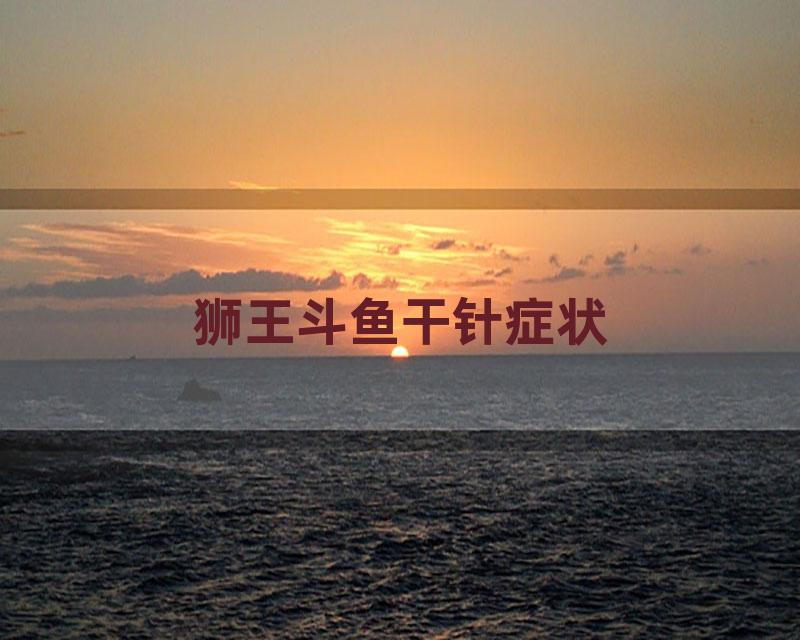 狮王斗鱼干针症状