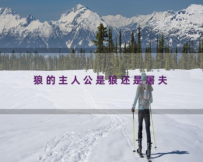 狼的主人公是狼还是屠夫