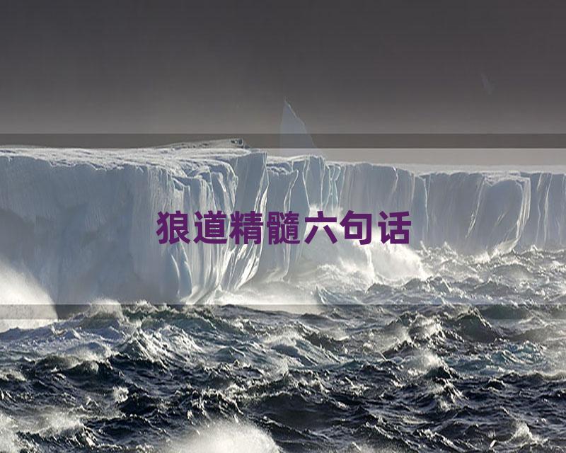 狼道精髓六句话