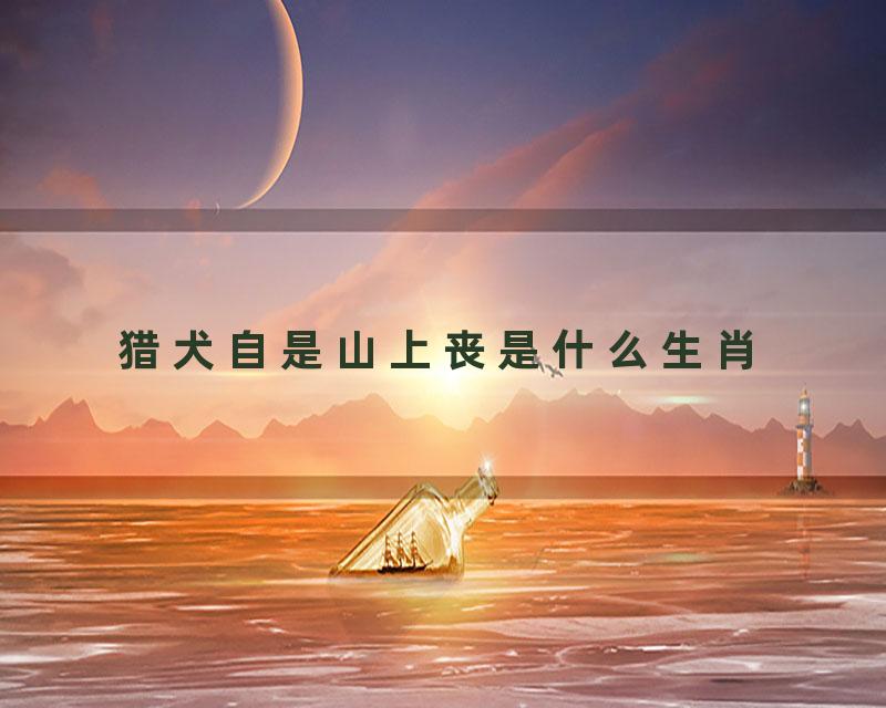 猎犬自是山上丧是什么生肖