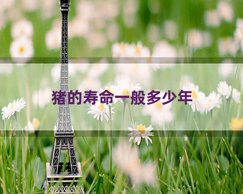 猪的寿命一般多少年