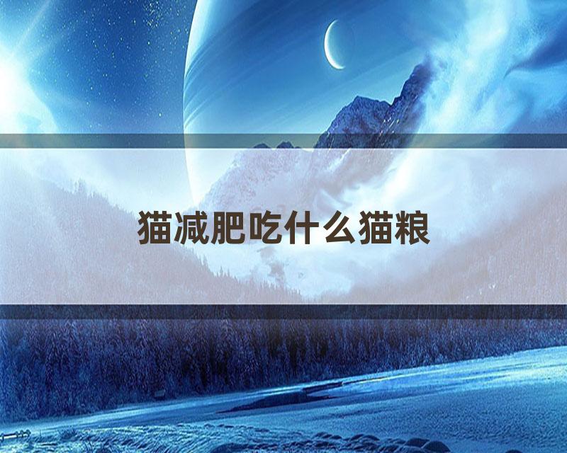 猫减肥吃什么猫粮