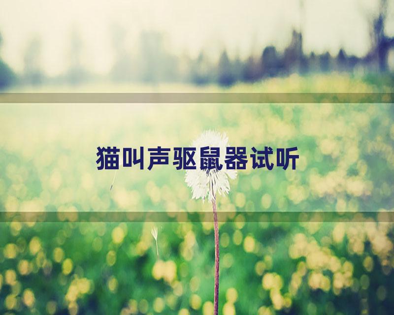 猫叫声驱鼠器试听