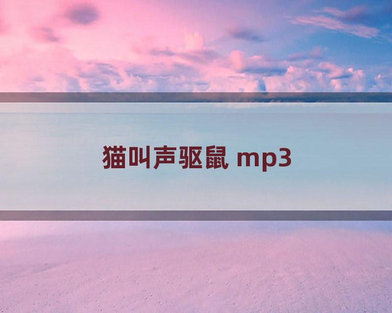 猫叫声驱鼠 mp3