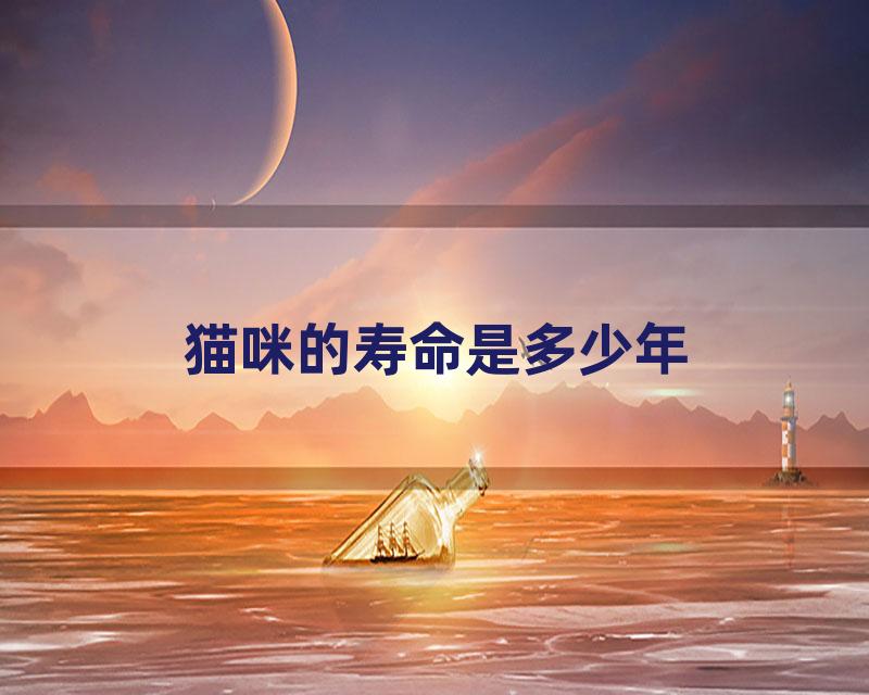 猫咪的寿命是多少年