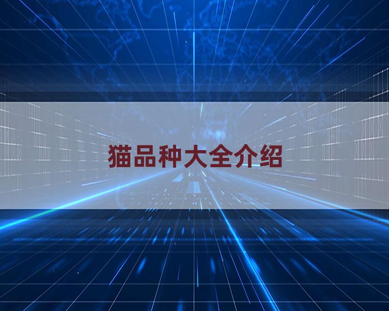 猫品种大全介绍