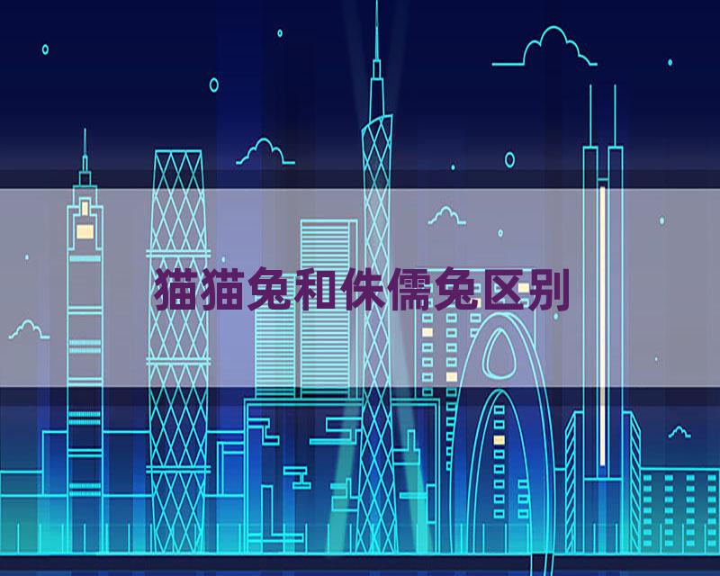 猫猫兔和侏儒兔区别