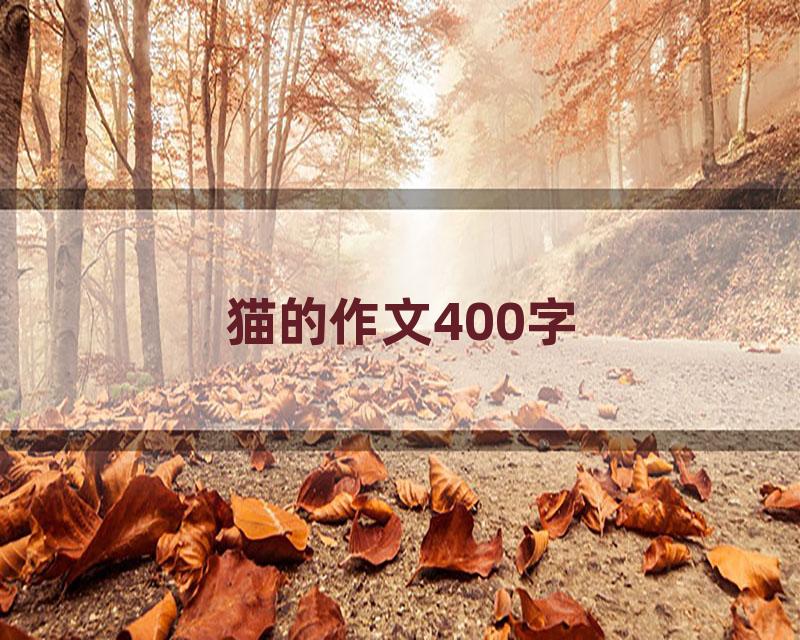 猫的作文400字