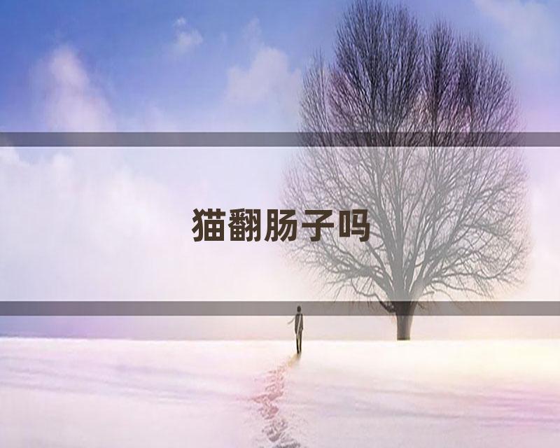 猫翻肠子吗