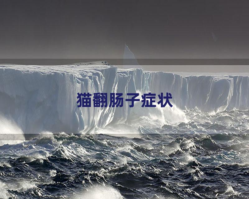 猫翻肠子症状