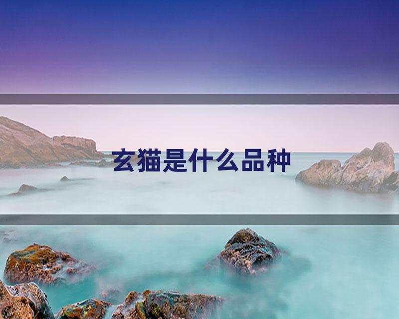 玄猫是什么品种