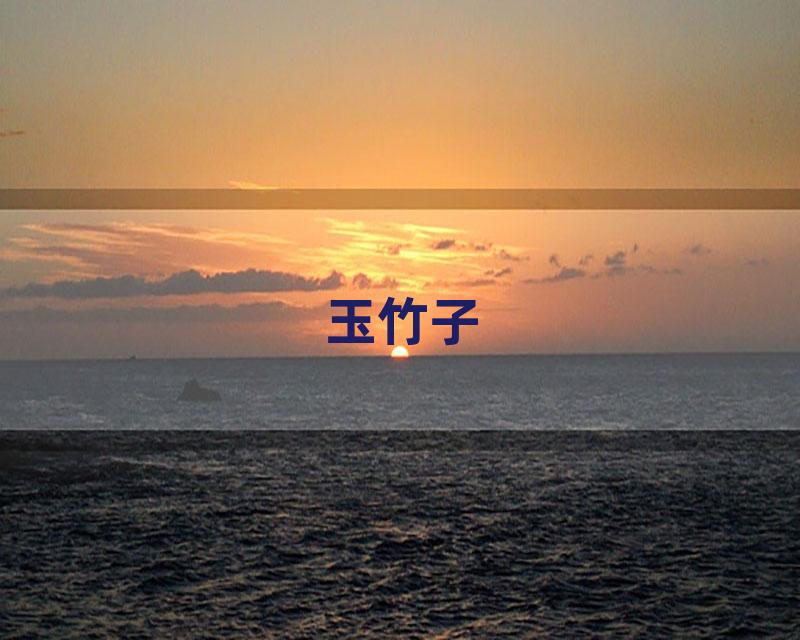 玉竹子