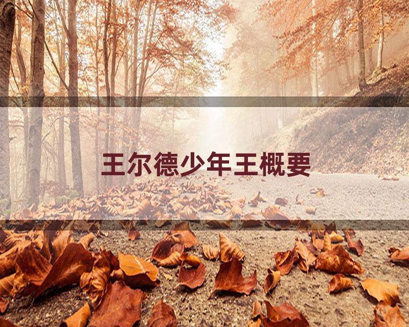 王尔德少年王概要