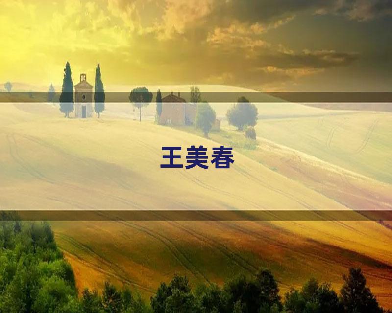 王美春