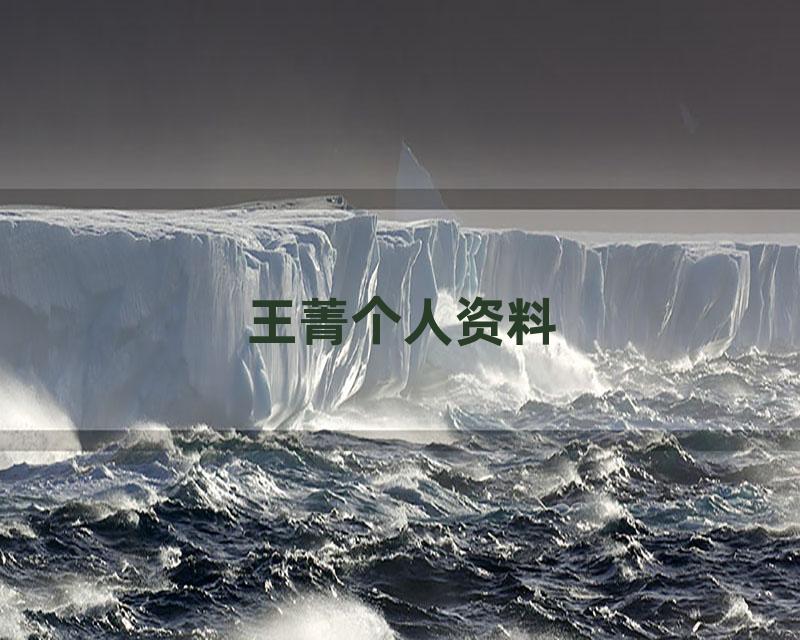 王菁个人资料