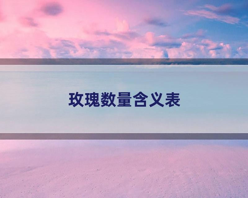 玫瑰数量含义表