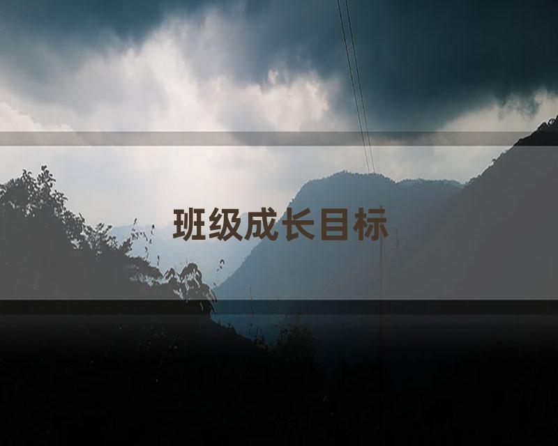 班级成长目标