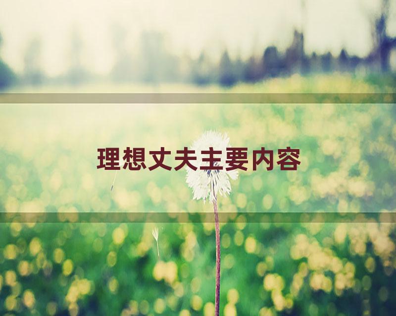 理想丈夫主要内容