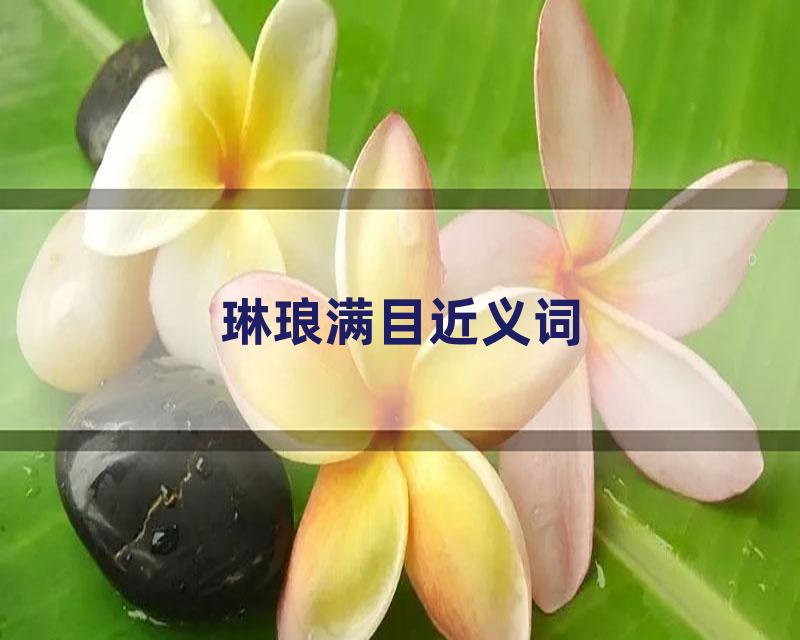 琳琅满目近义词