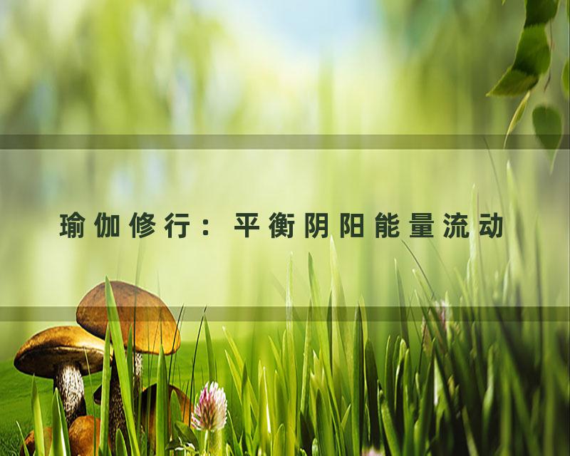 瑜伽修行：平衡阴阳能量流动