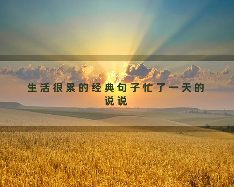 生活很累的经典句子忙了一天的说说