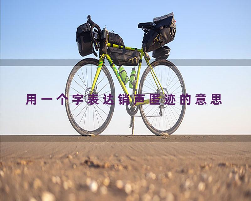 用一个字表达销声匿迹的意思