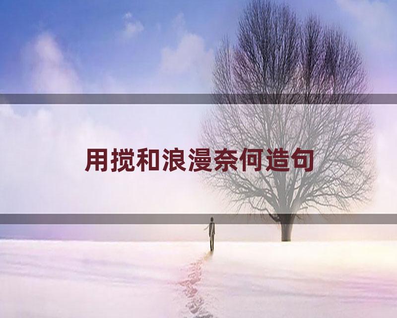 用搅和浪漫奈何造句