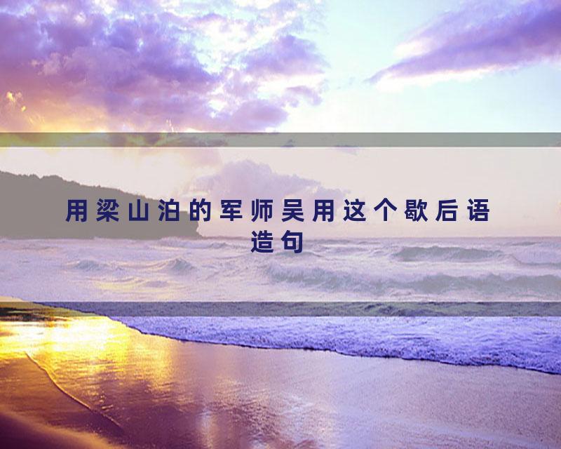 用梁山泊的军师吴用这个歇后语造句