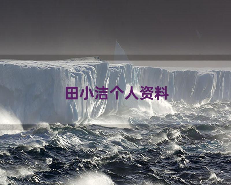 田小洁个人资料