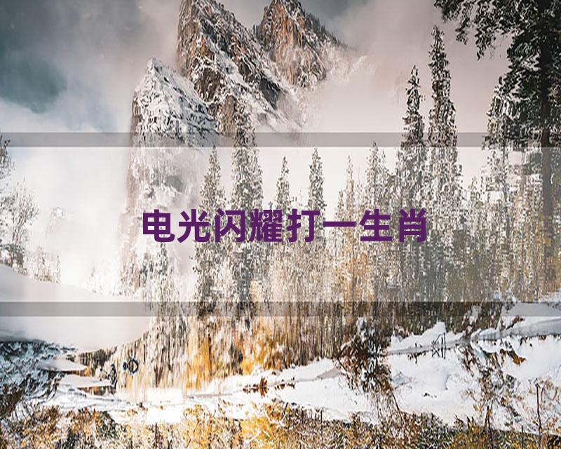 电光闪耀打一生肖