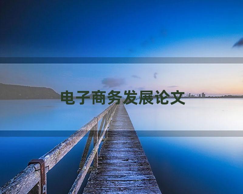 电子商务发展论文