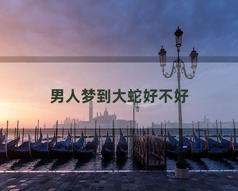 男人梦到大蛇好不好