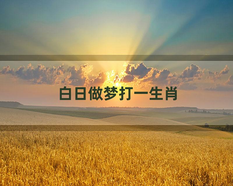 白日做梦打一生肖