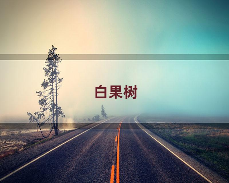 白果树