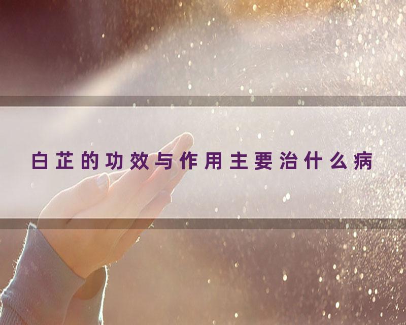 白芷的功效与作用主要治什么病