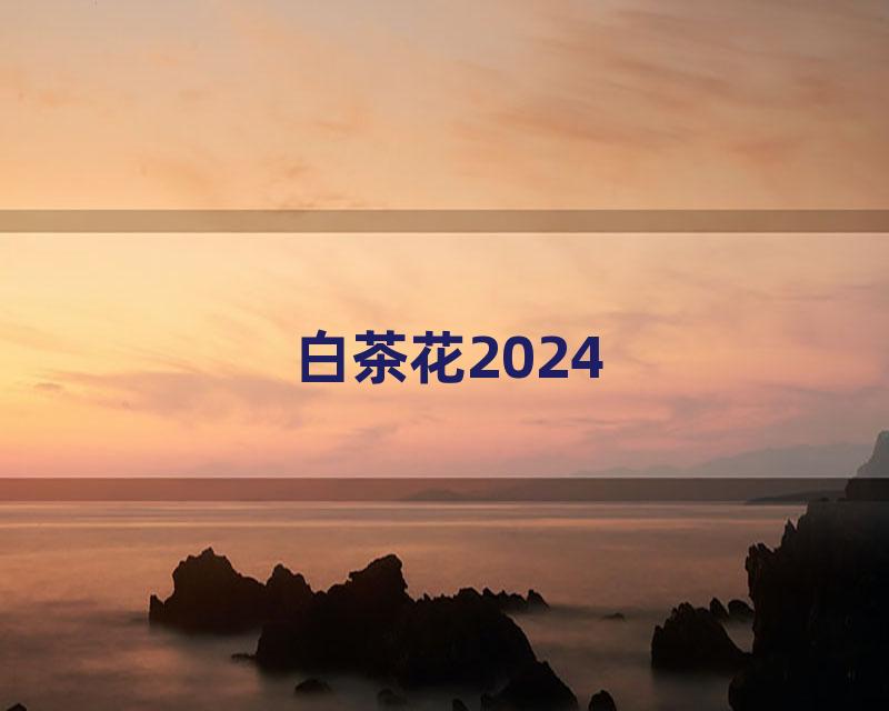 白茶花2024