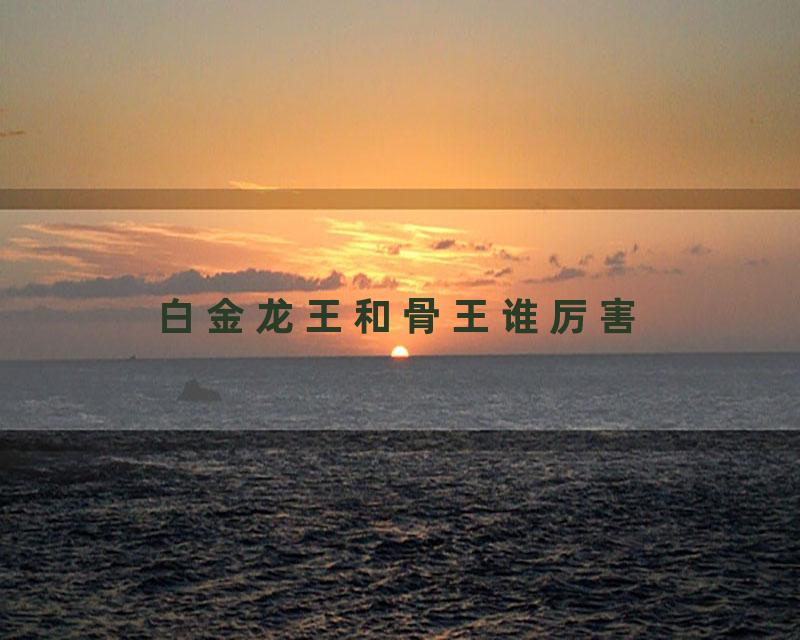 白金龙王和骨王谁厉害