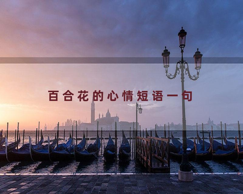 百合花的心情短语一句