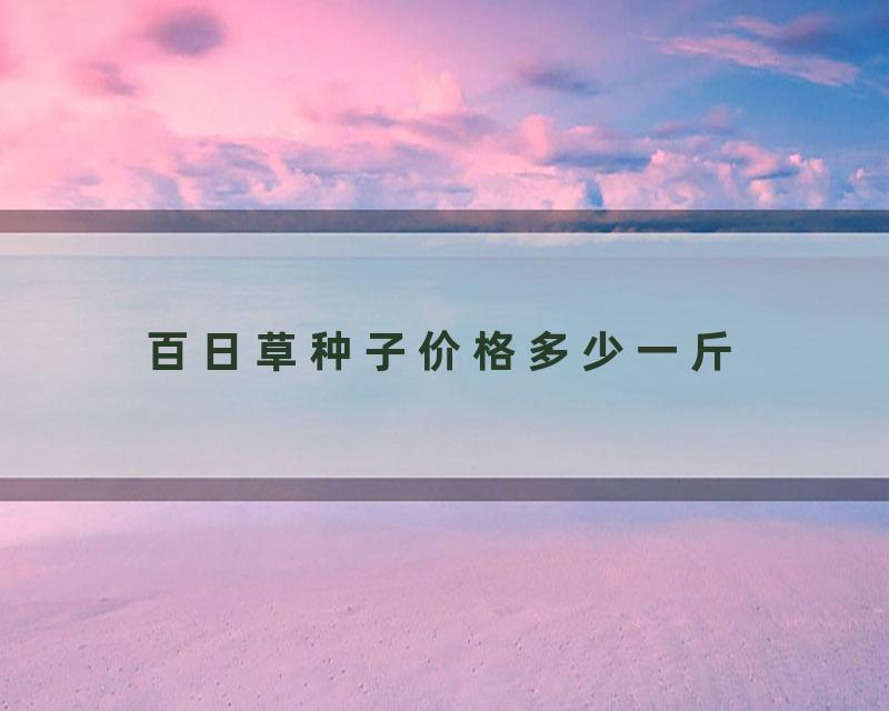 百日草种子价格多少一斤