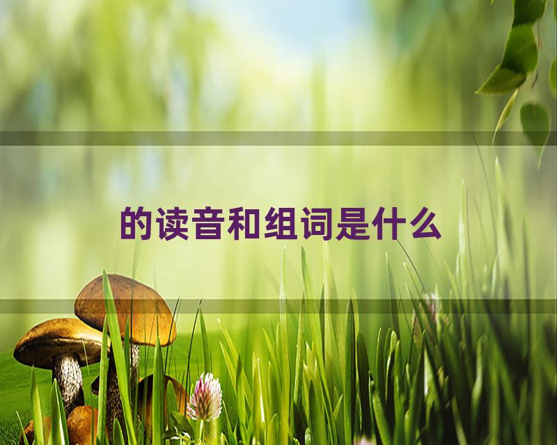 的读音和组词是什么