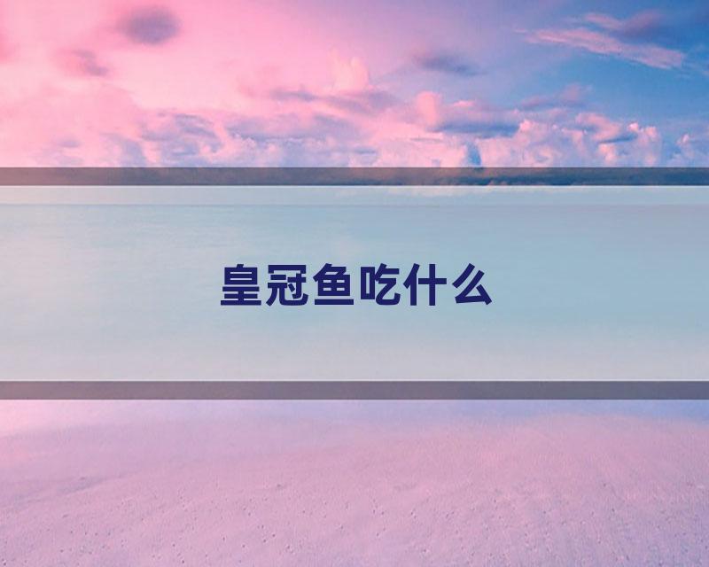 皇冠鱼吃什么