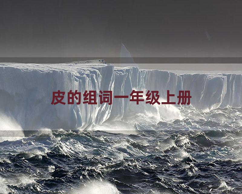 皮的组词一年级上册