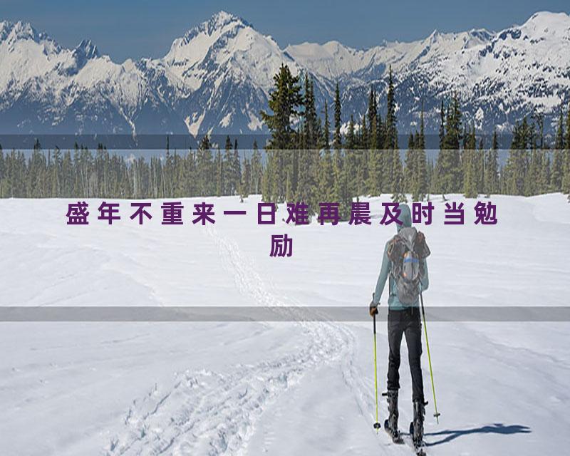 盛年不重来一日难再晨及时当勉励