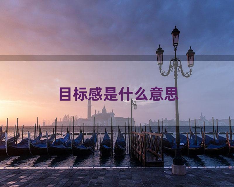 目标感是什么意思