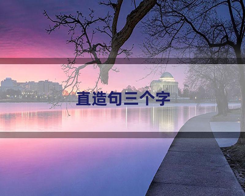 直造句三个字