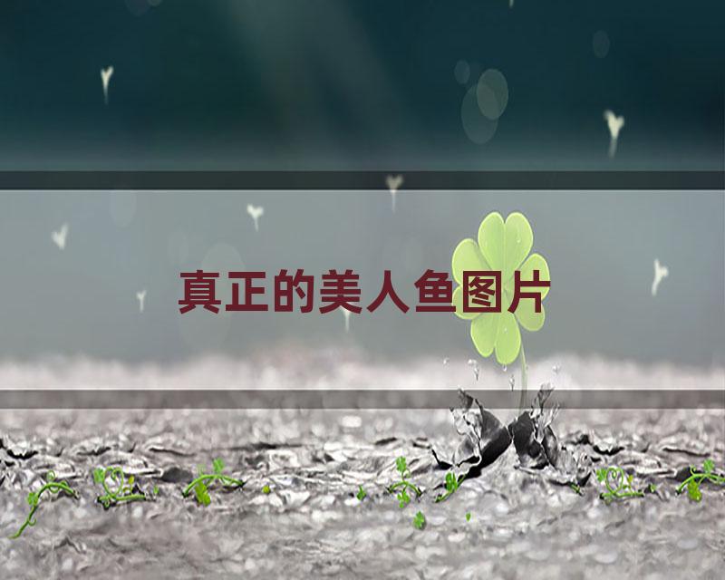 真正的美人鱼图片
