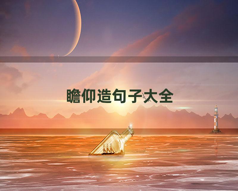 瞻仰造句子大全