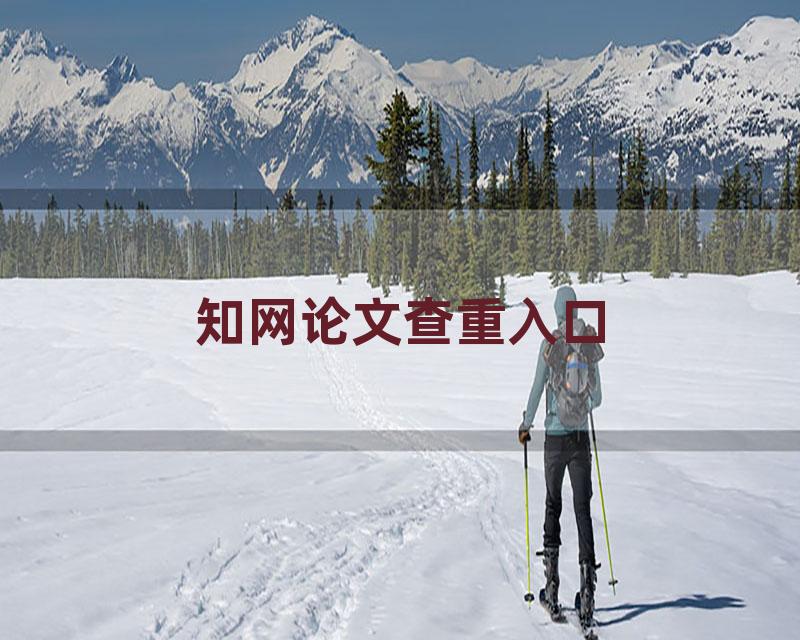 知网论文查重入口