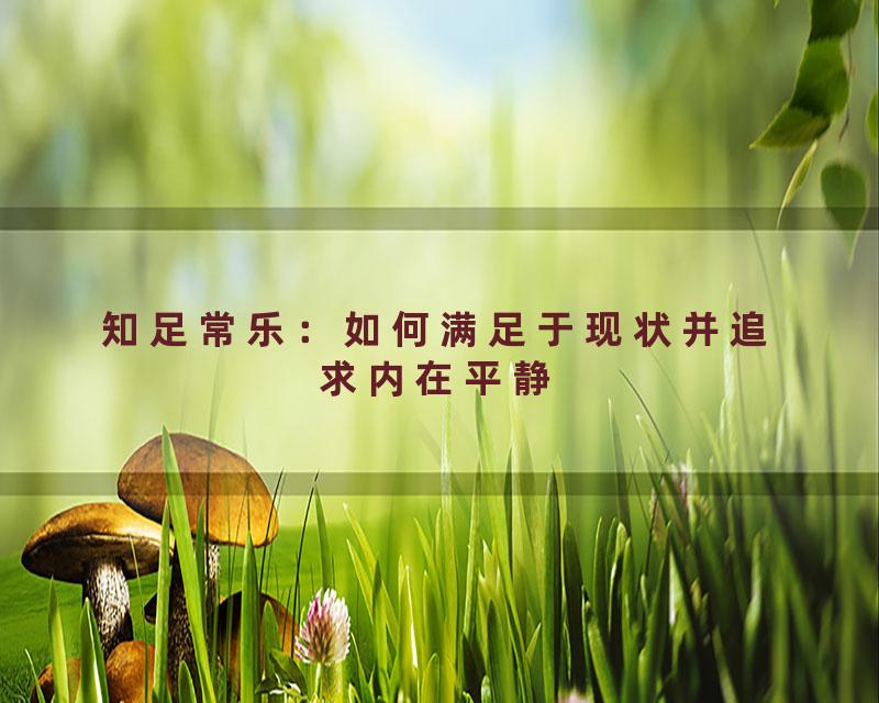 知足常乐：如何满足于现状并追求内在平静
